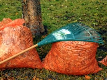 Give your lawn some autumn TLC