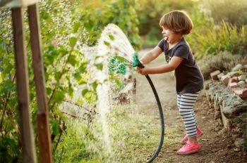 What to do in the garden in June: