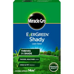 Miracle-Gro EverGreen Shady Lawn Seed 420g - image 2